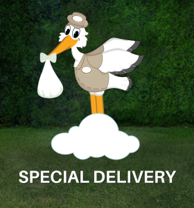 special delivery